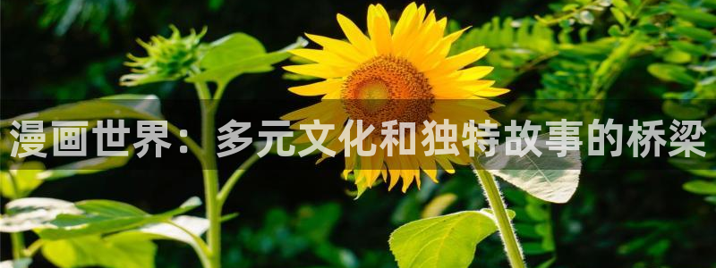 哔咔漫画网页版的是假的么