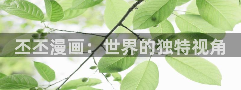 哔咔哔咔漫画网页版