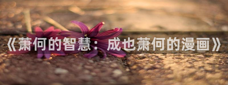 哔咔漫画免费下载入口
