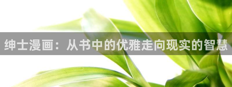 哔咔漫画app免费安装