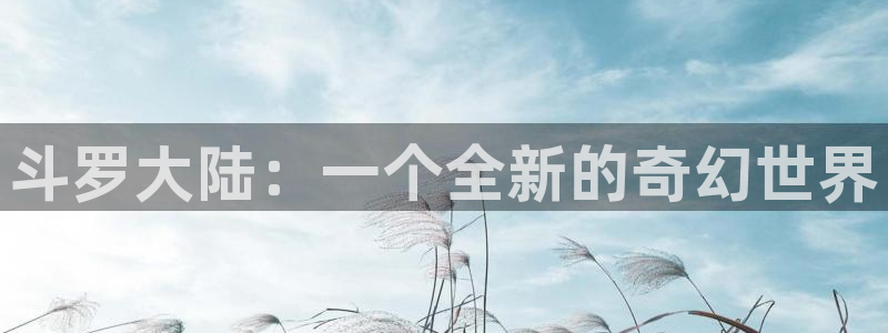 哔咔漫画应用