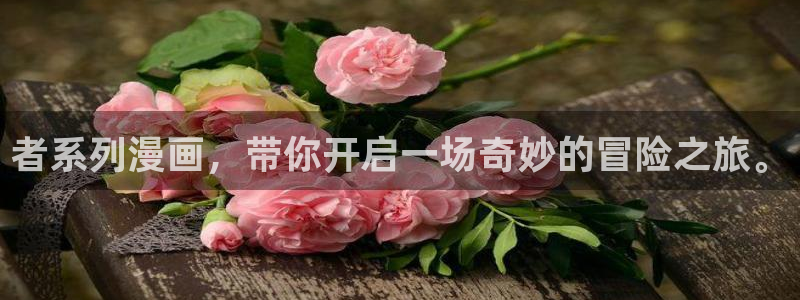 哔咔漫画1.0.0版本